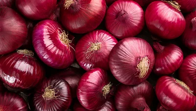 Fresh Red Onions Background