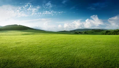 Vast Green Meadow Under A Bright Blue Sky
