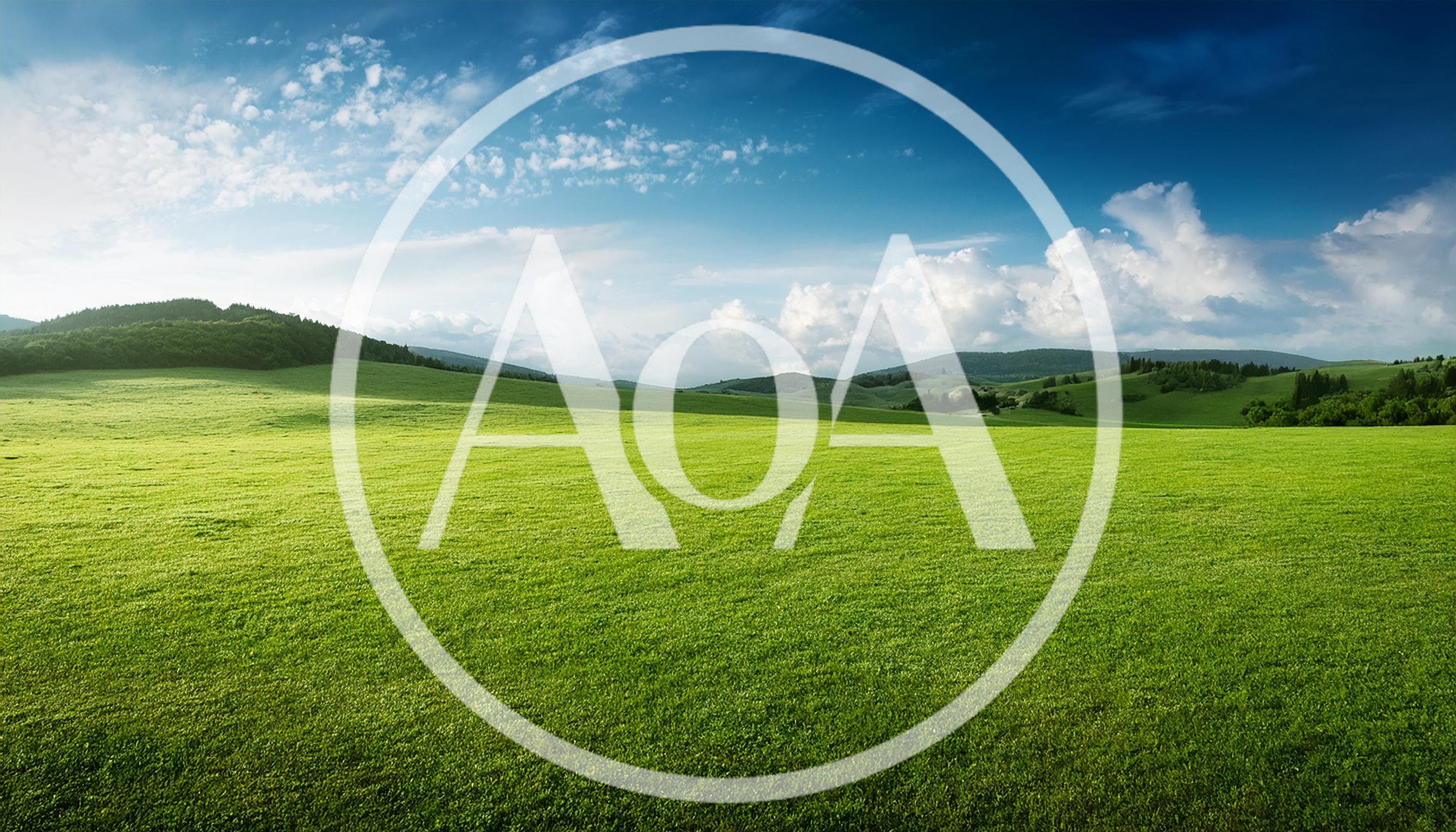 Vast Green Meadow Under A Bright Blue Sky