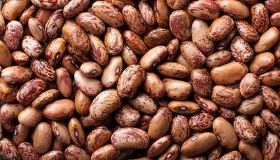 Top View Of Raw Pinto Beans Background