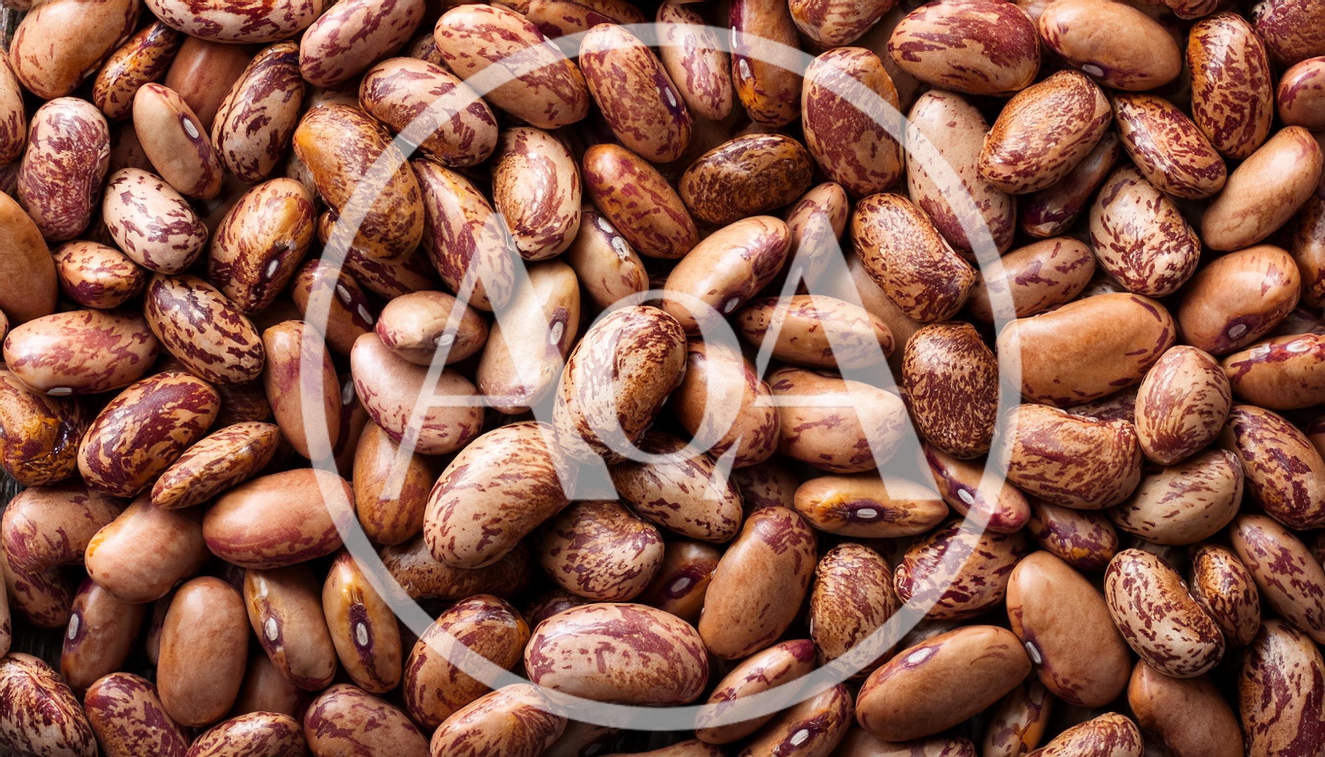 Top View Of Raw Pinto Beans Background