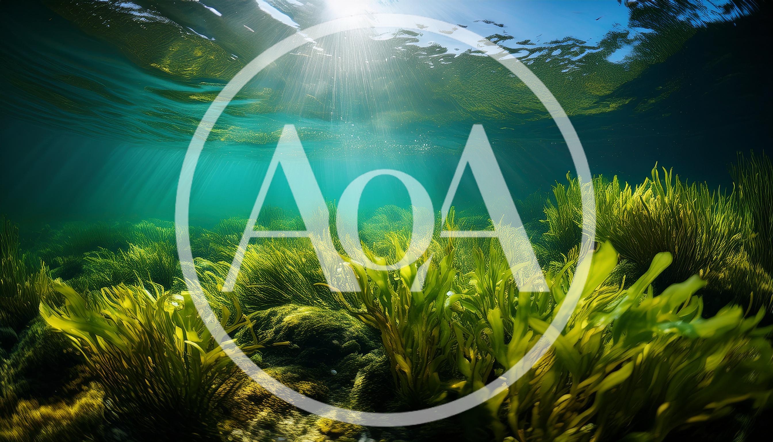 Underwater View Of Vibrant Green Seaweed Forest