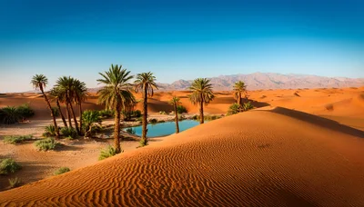 Oasis With Palm Trees In The Sahara Desert
