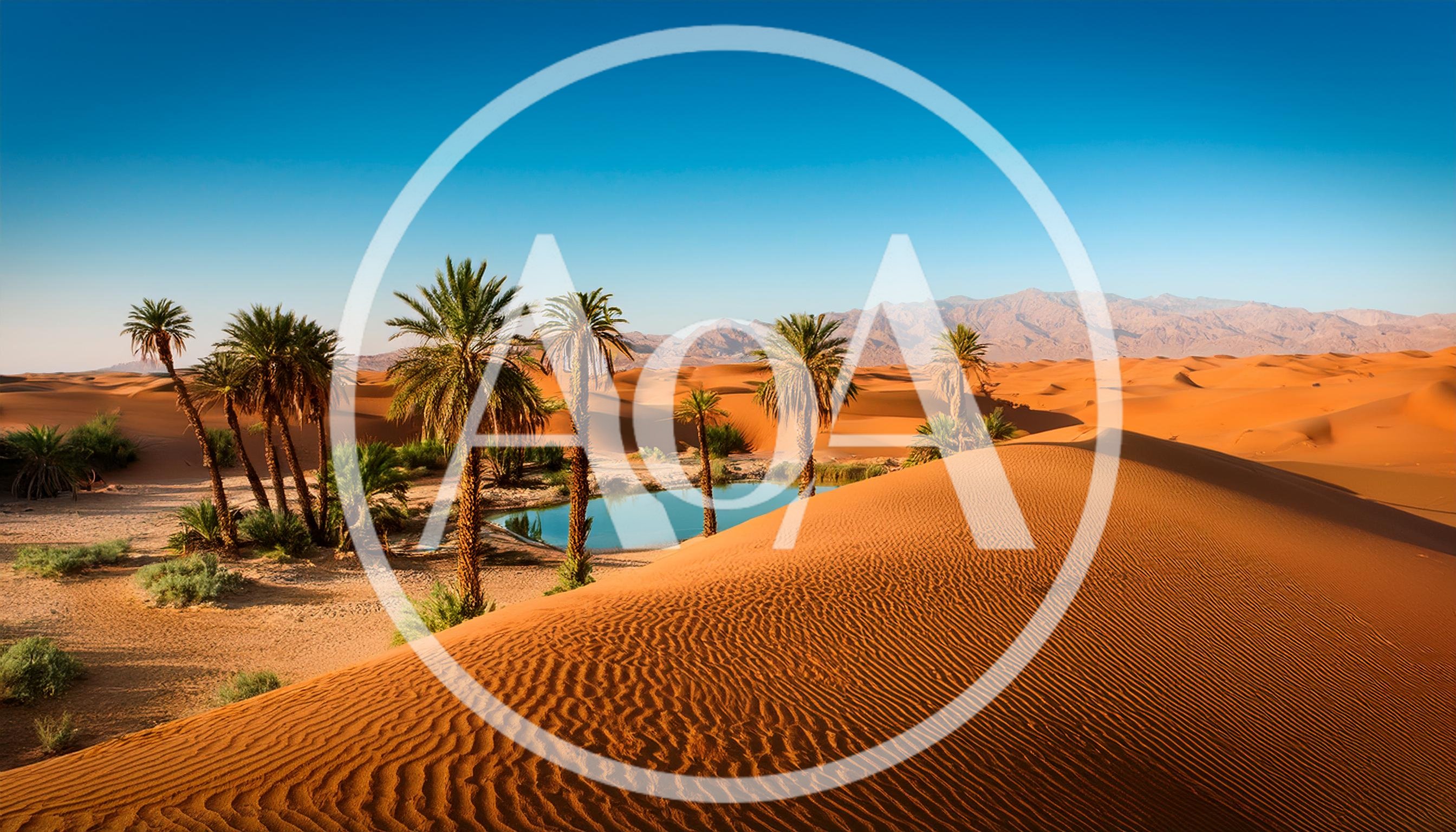 Oasis With Palm Trees In The Sahara Desert