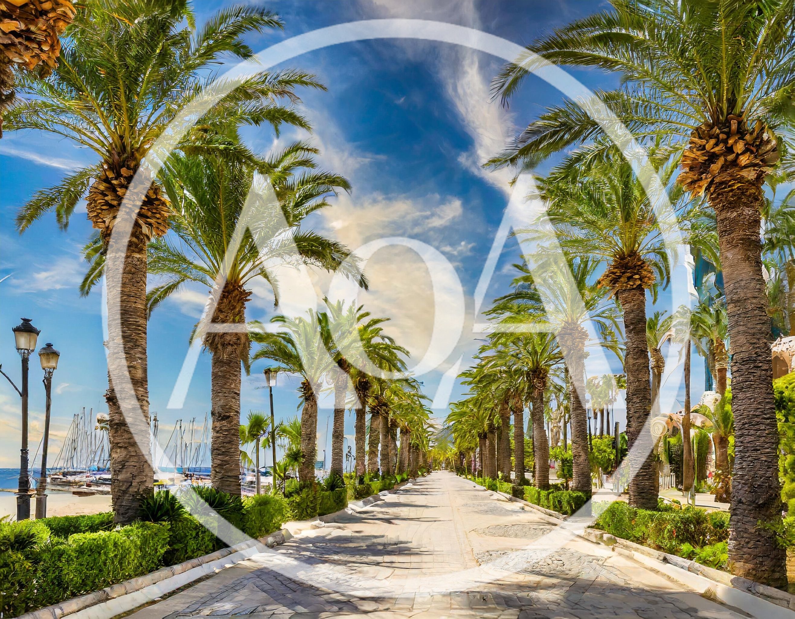 Palm Tree Lined Promenade Along A Mediterranean Marina