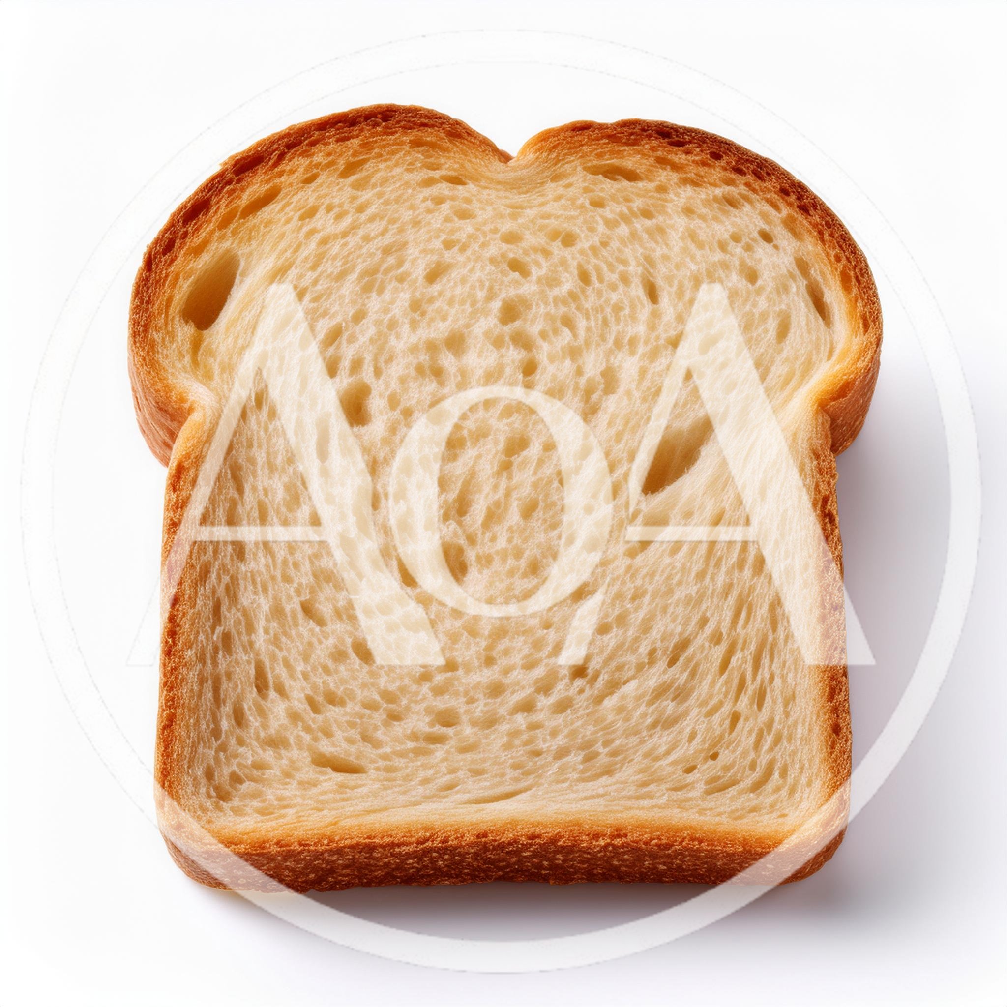 Single Slice Of Toasted White Bread
