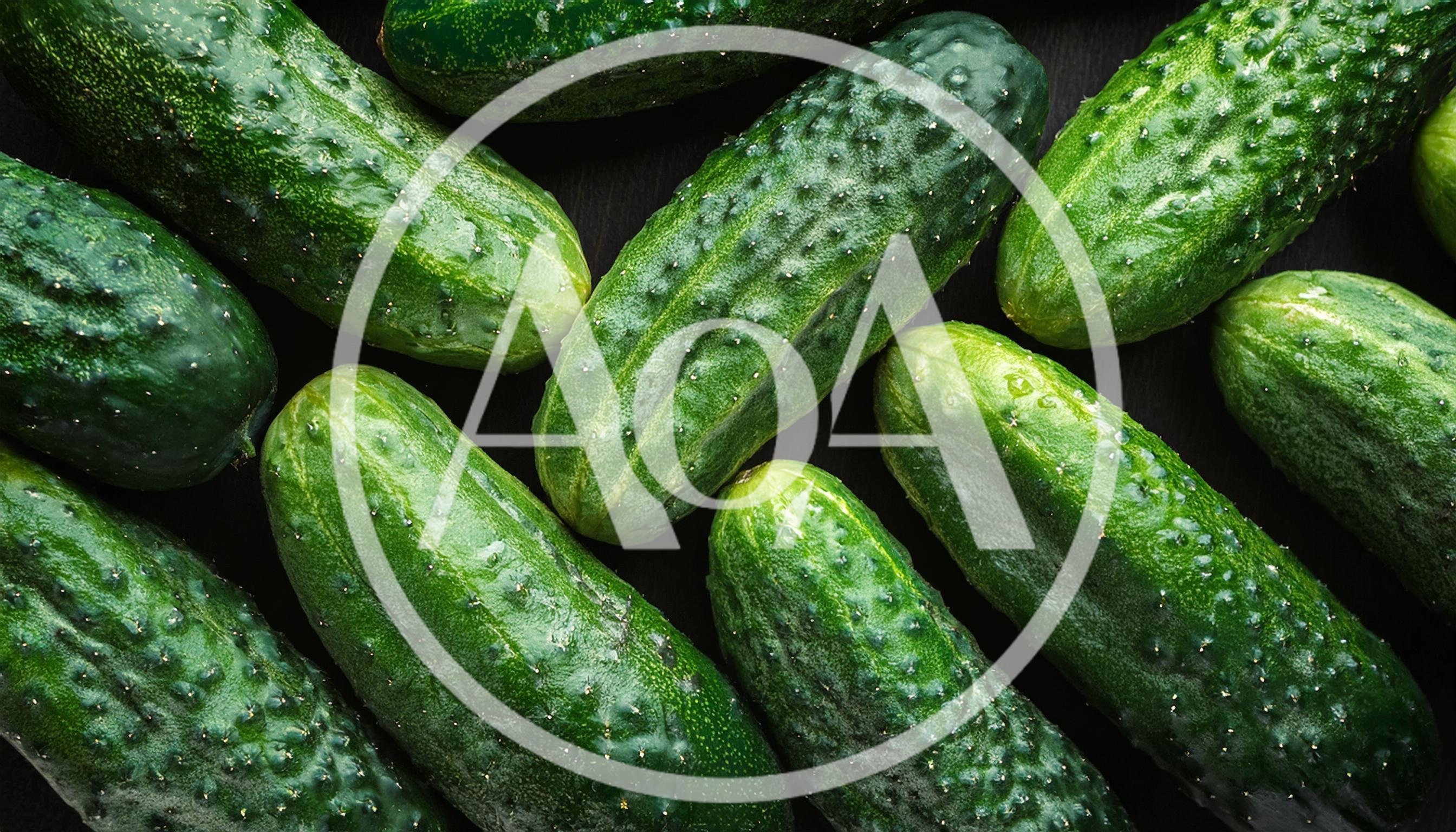Fresh Green Cucumbers Arranged On Dark Background