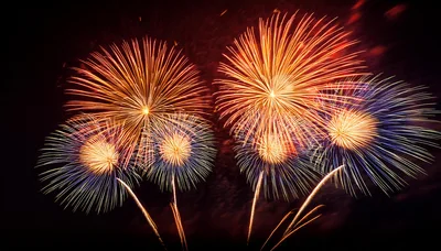 Vibrant Multi-Colored Fireworks Display Against Dark Night Sky