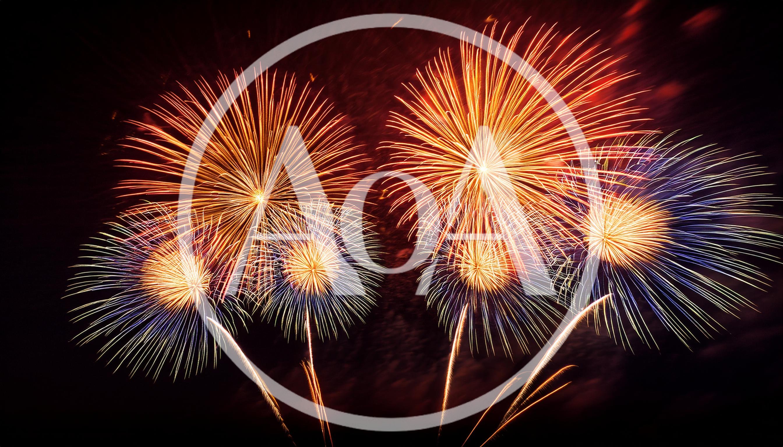 Vibrant Multi-Colored Fireworks Display Against Dark Night Sky