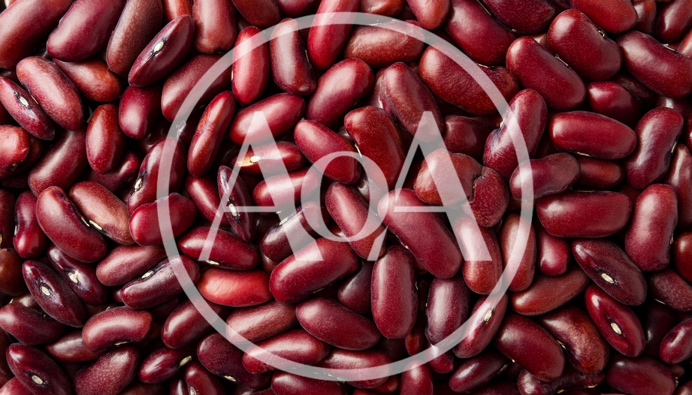 Top View Of Raw Red Kidney Beans
