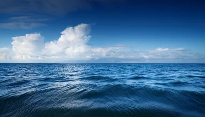 Expansive View Of Deep Blue Ocean Waves