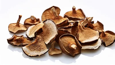 Dried Shiitake Mushrooms Scattered on White Background