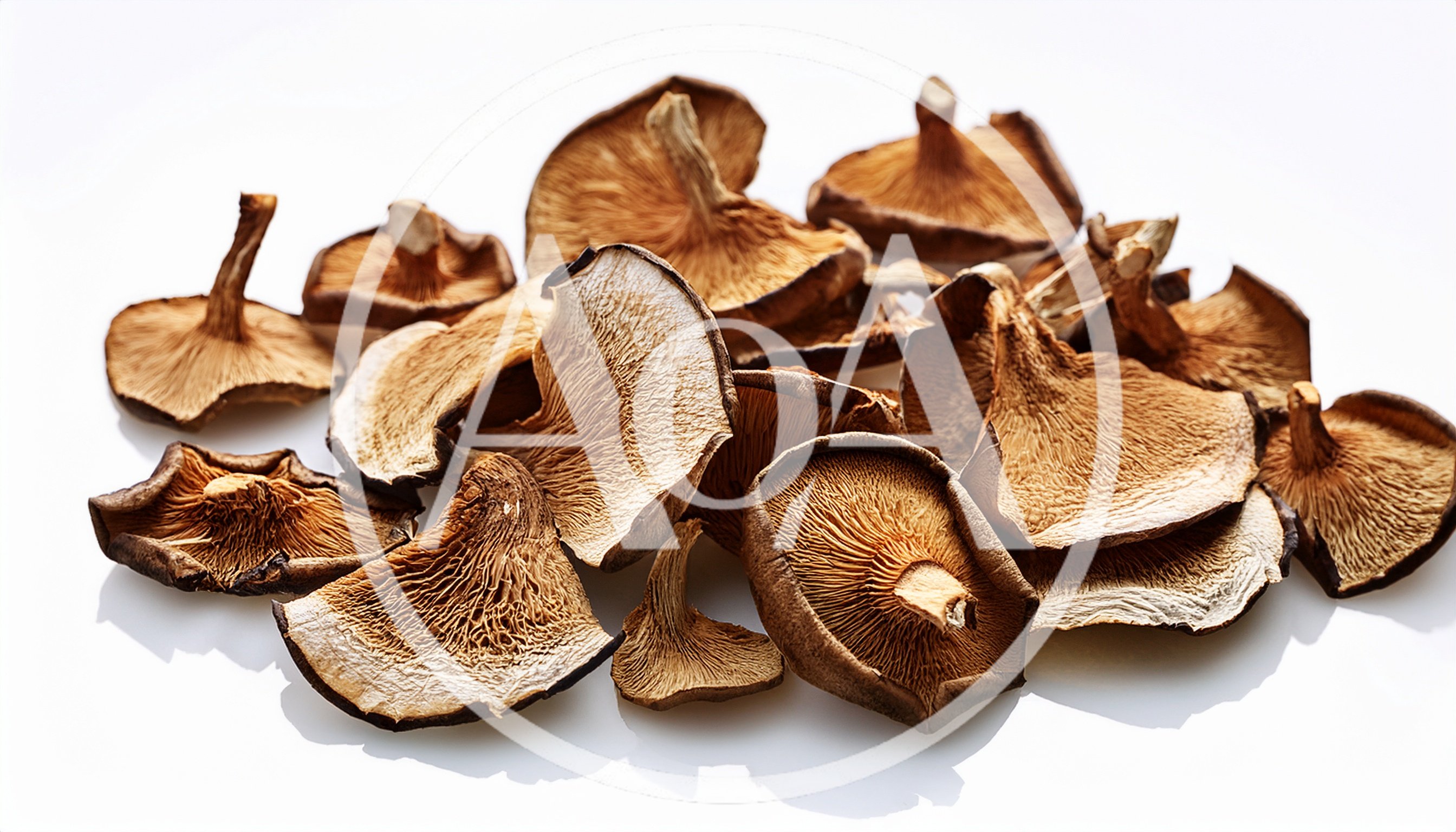 Dried Shiitake Mushrooms Scattered on White Background