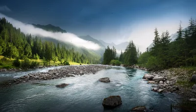 Scenic Mountain River Flowing Through Pine Forest Valley