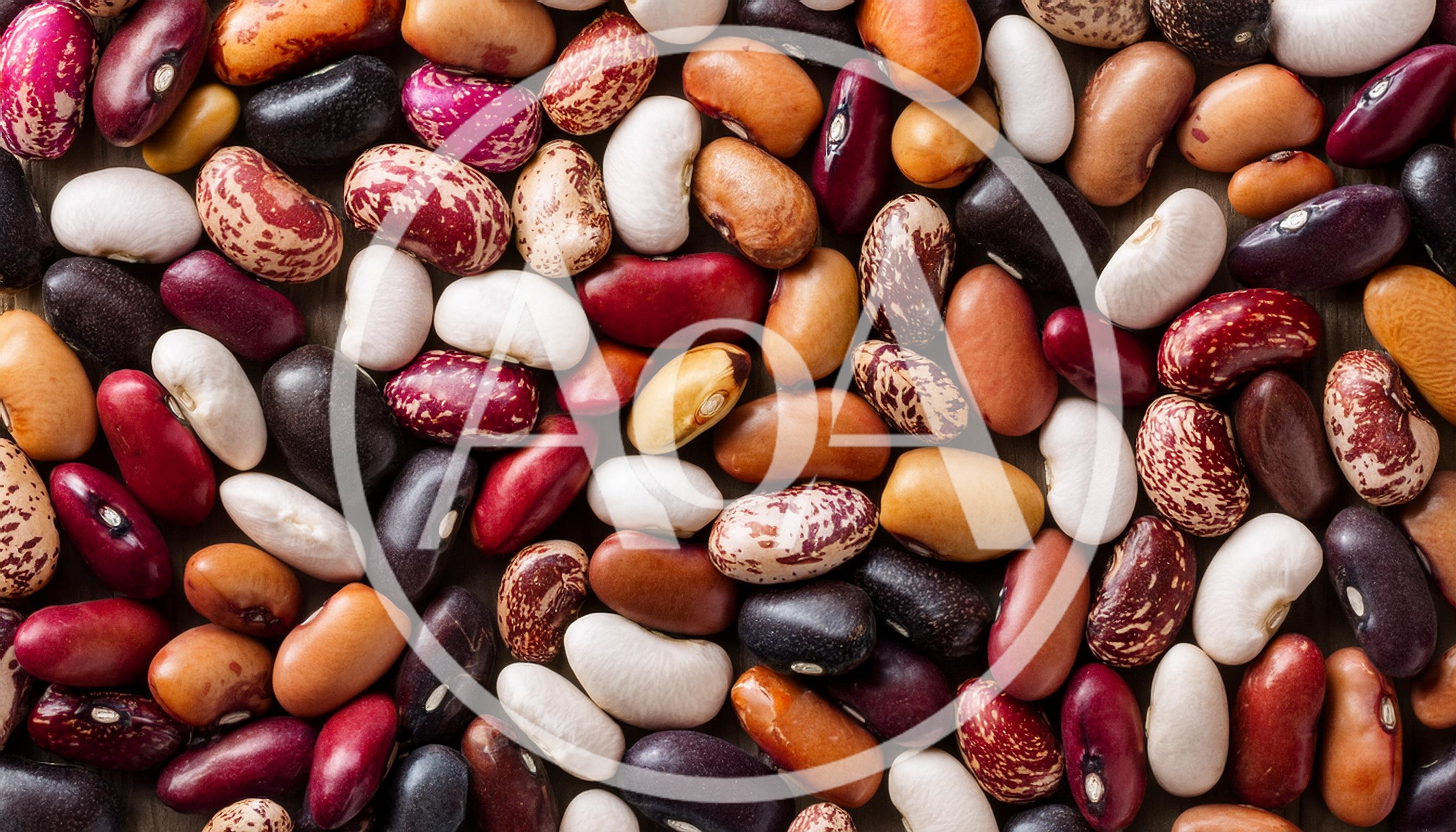 Assorted Raw Dried Beans Background