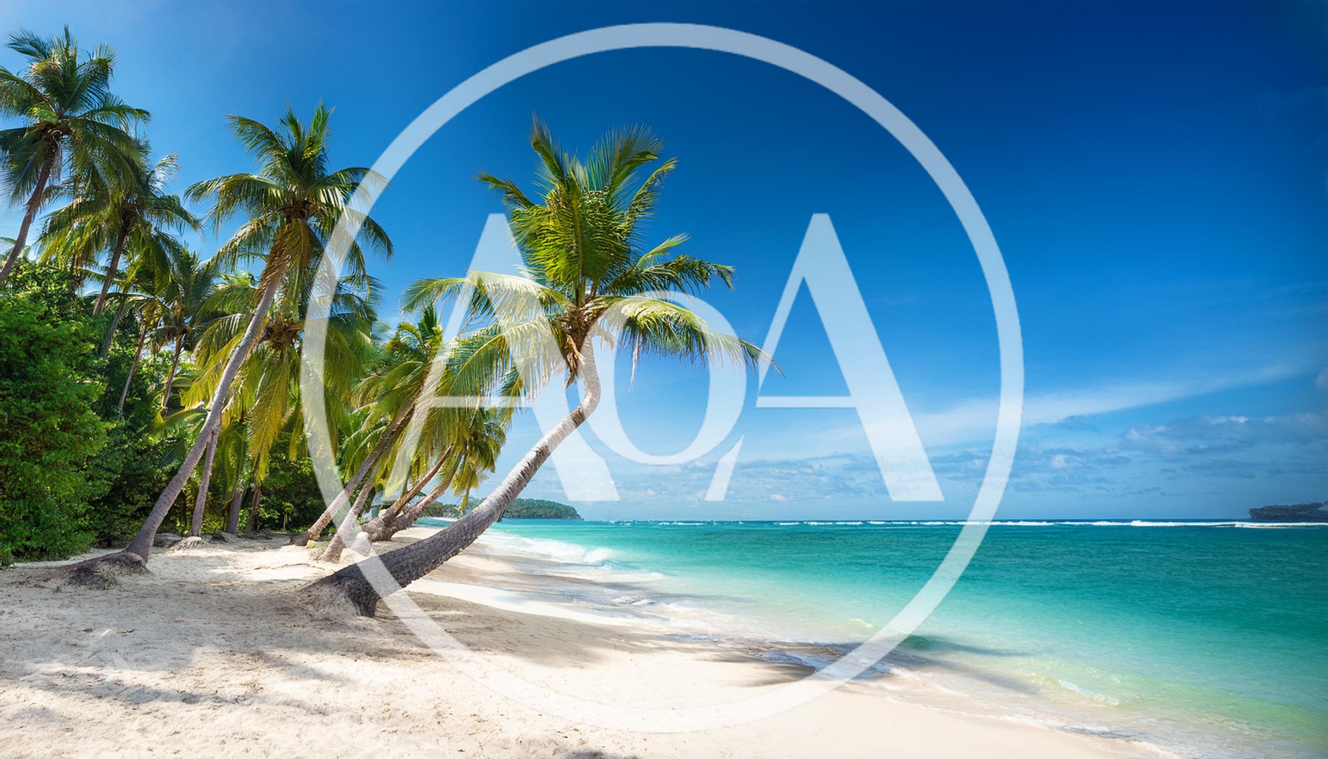 Tropical Beach Scene With Leaning Palm Trees