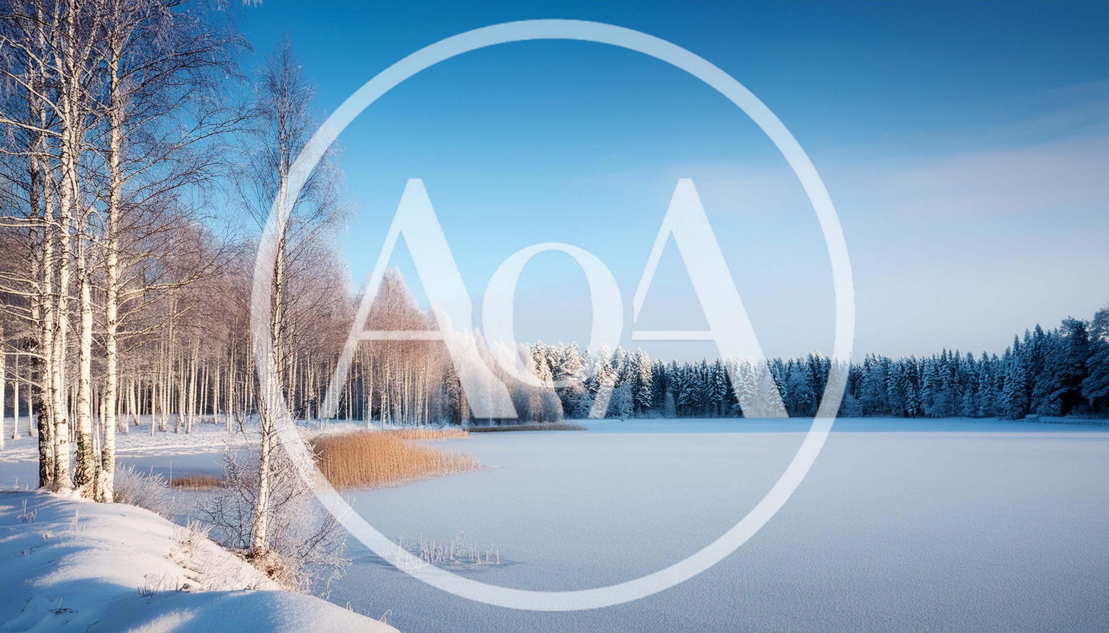 Frozen Lake Landscape With Snow Covered Birch Trees