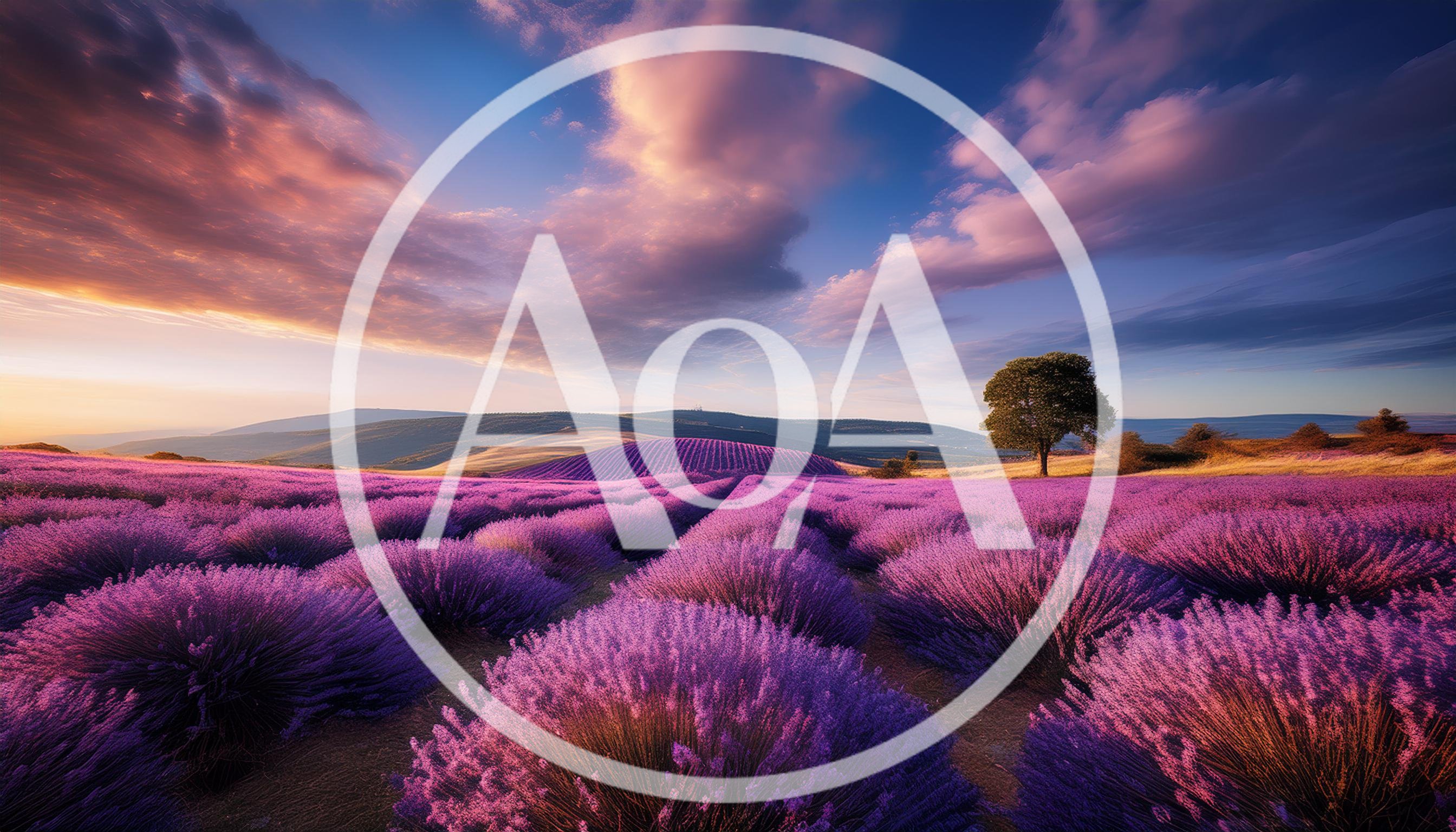 Vibrant Lavender Field Under A Dramatic Sunset Sky