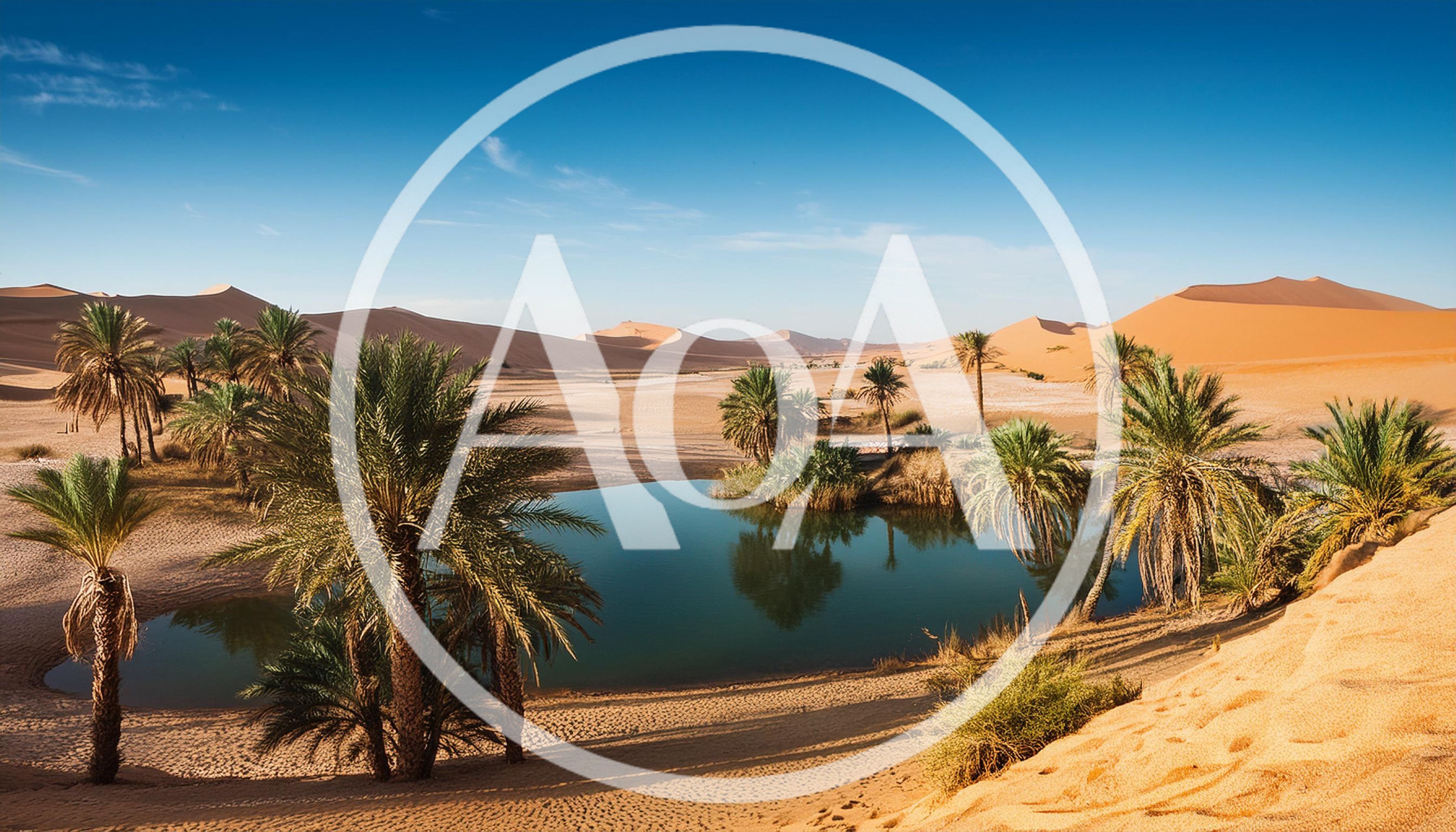 Oasis With Palm Trees In The Sahara Desert