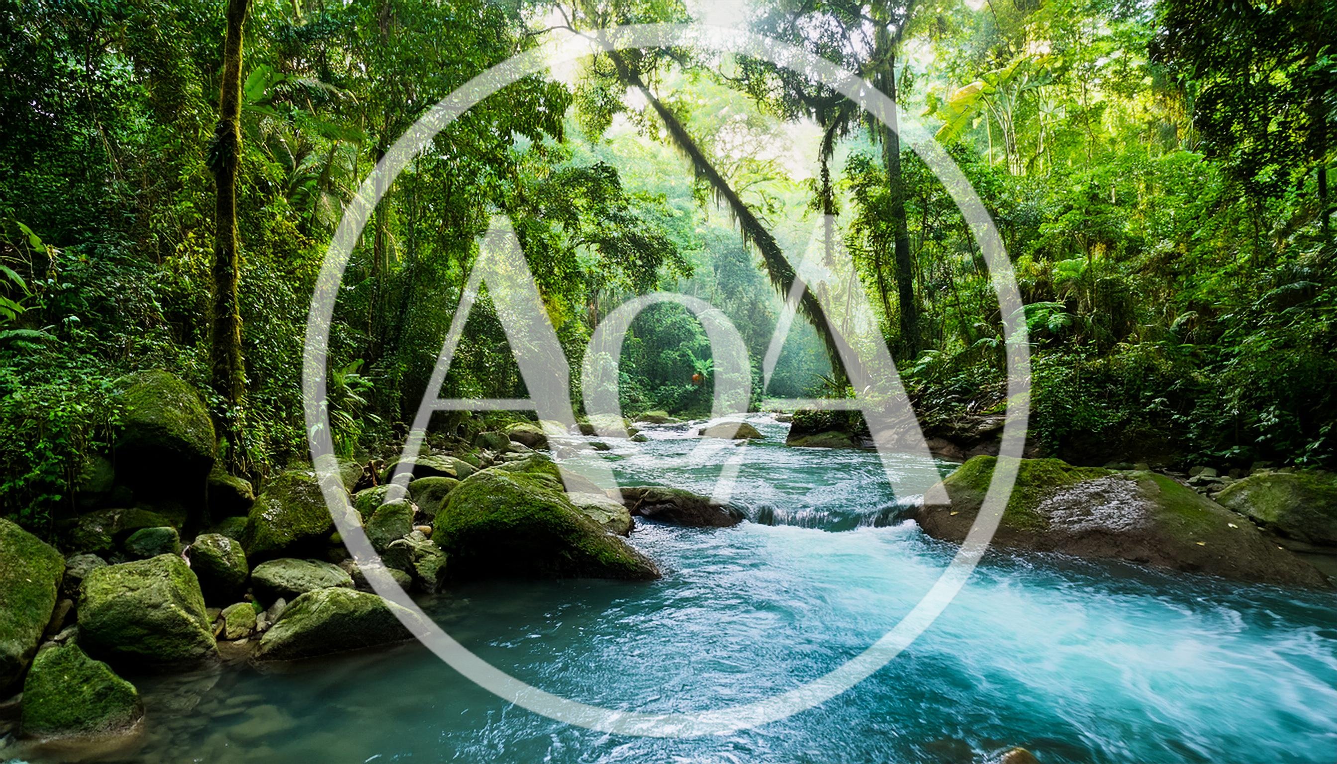 Turquoise River Flowing Through A Lush Tropical Rainforest