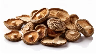 Dried Shiitake Mushrooms Pile on White Background