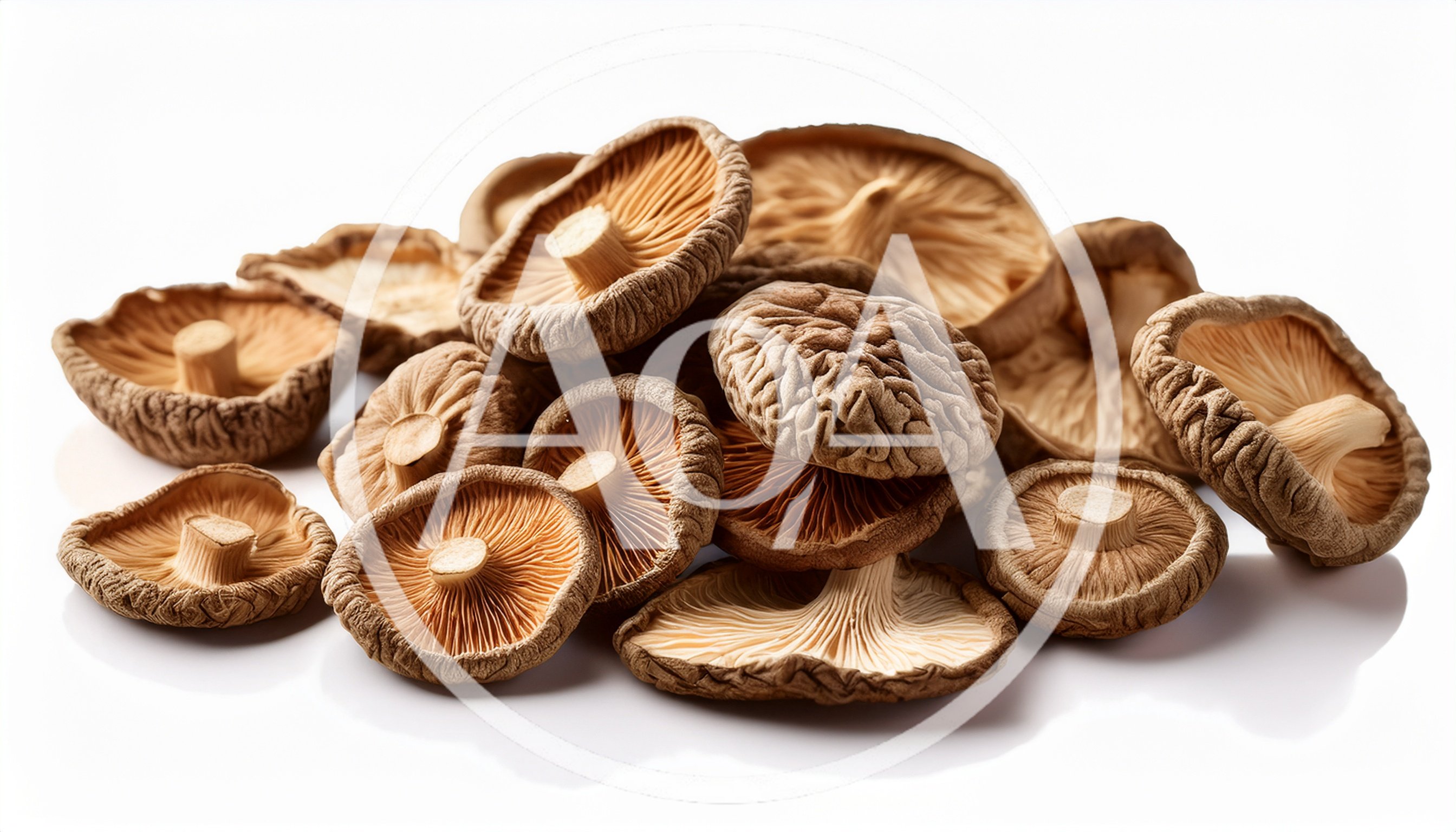 Dried Shiitake Mushrooms Pile on White Background