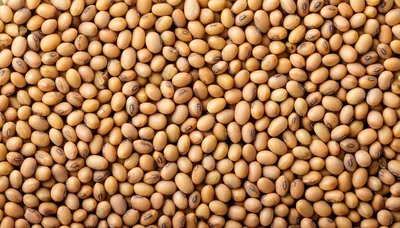 Top View Of Dried Soybeans Background
