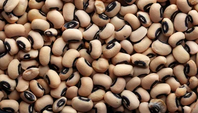 Top View Of Dried Black Eyed Peas