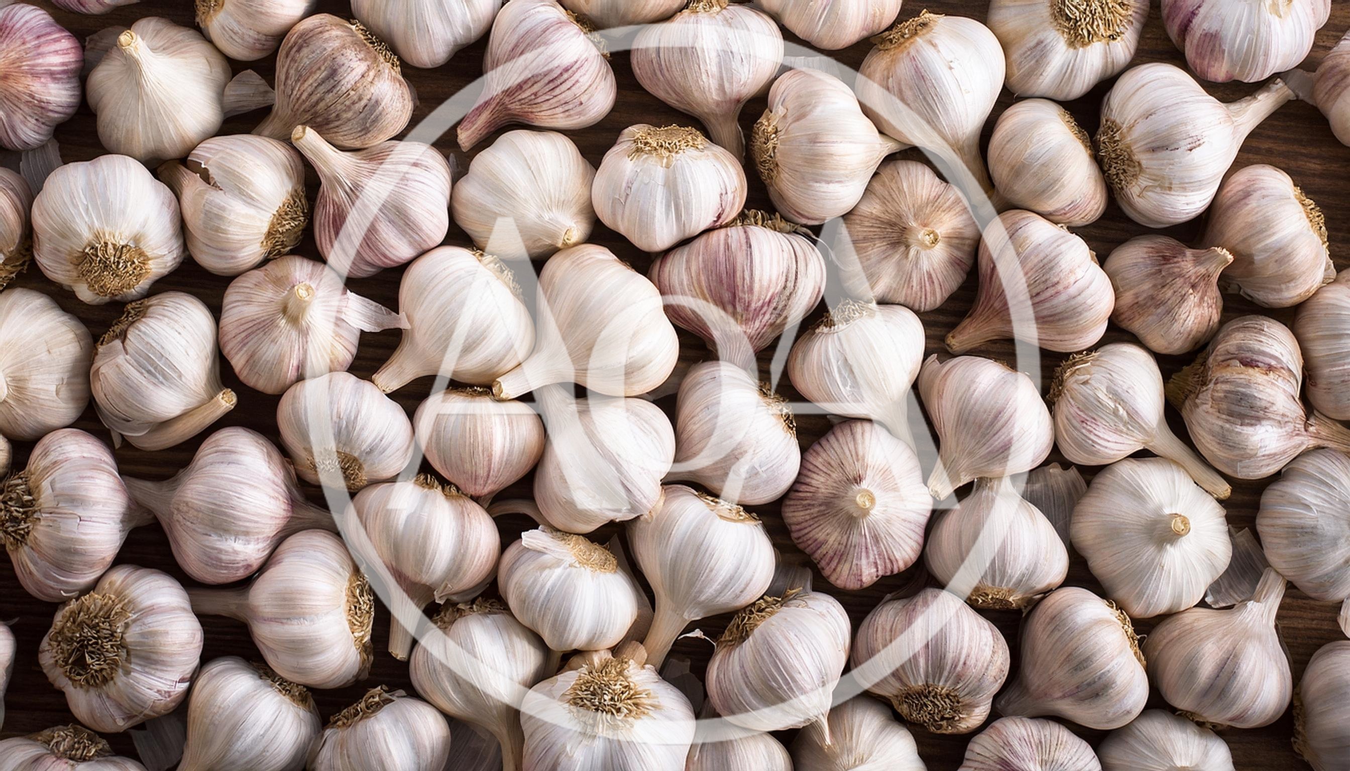 Top View Of Fresh Garlic Bulbs On Wooden Surface