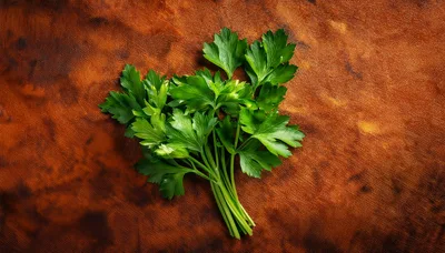 Fresh Green Parsley Sprigs on Textured Brown Background
