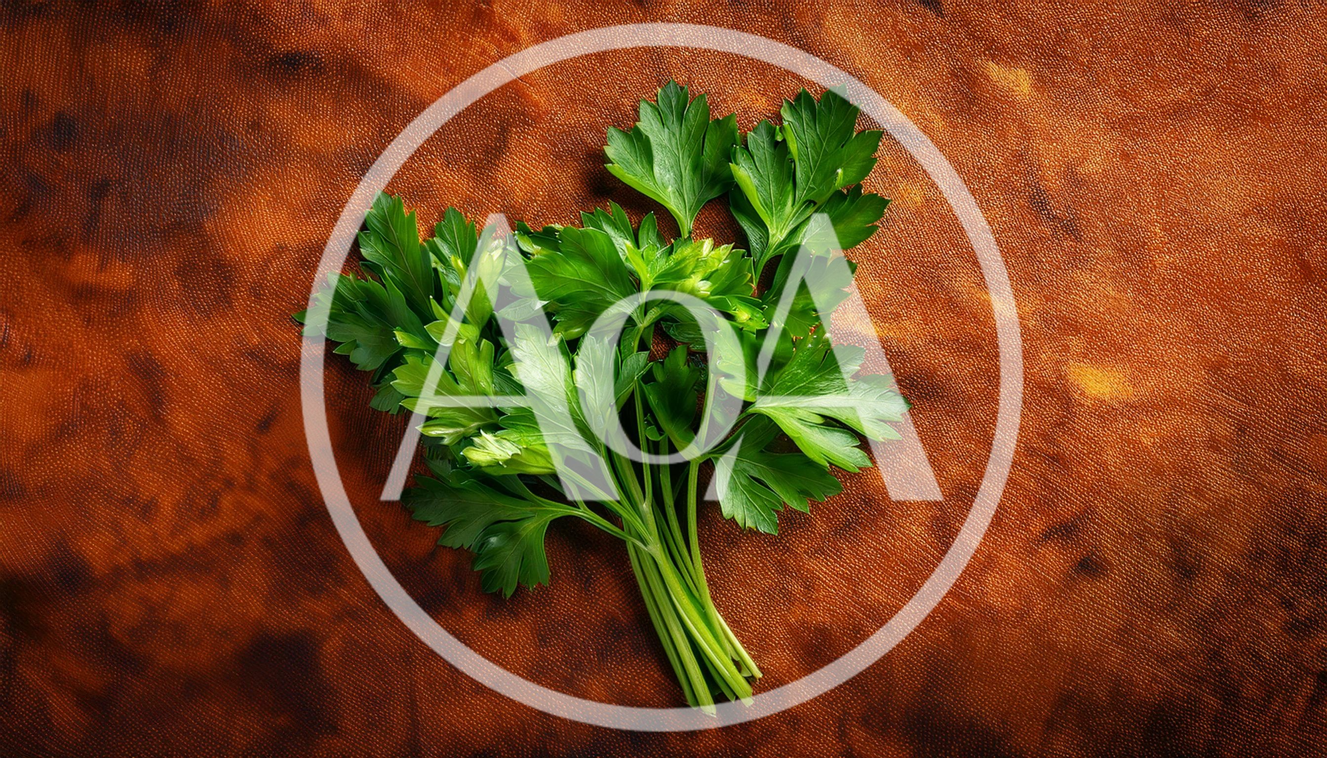 Fresh Green Parsley Sprigs on Textured Brown Background