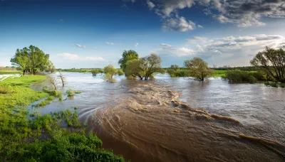 Flooded River Landscape With Submerged Trees