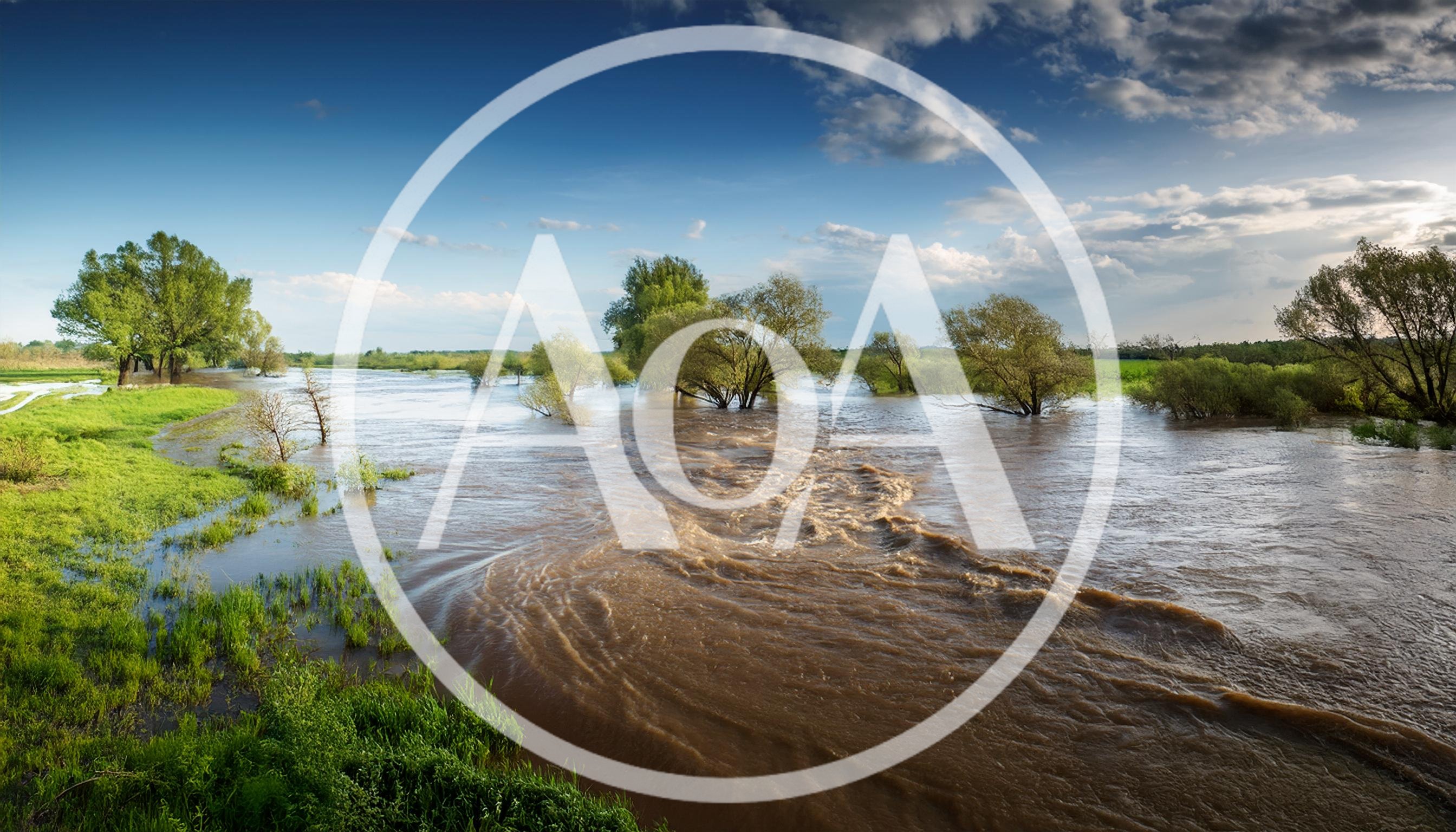 Flooded River Landscape With Submerged Trees
