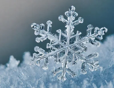Macro Close Up Of A Single Intricate Snowflake