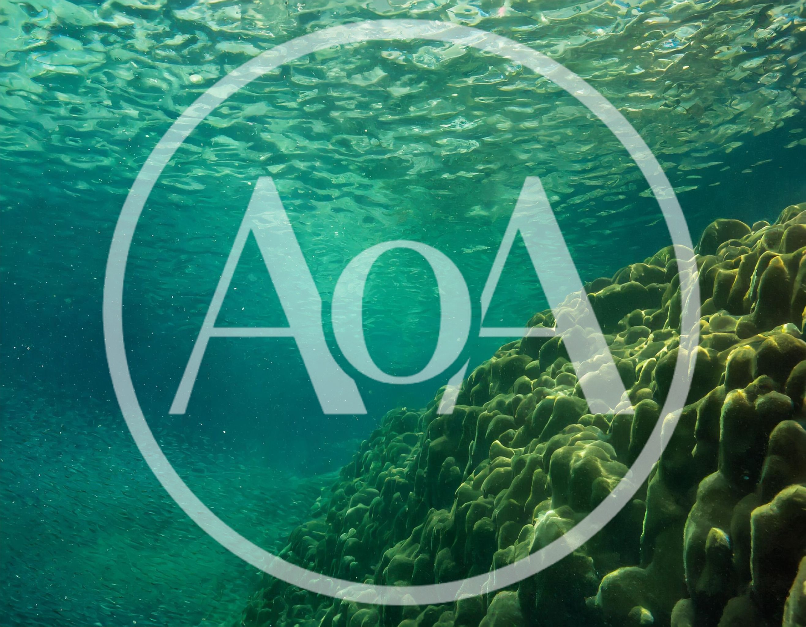 Underwater View Of A Coral Reef With Small Fish