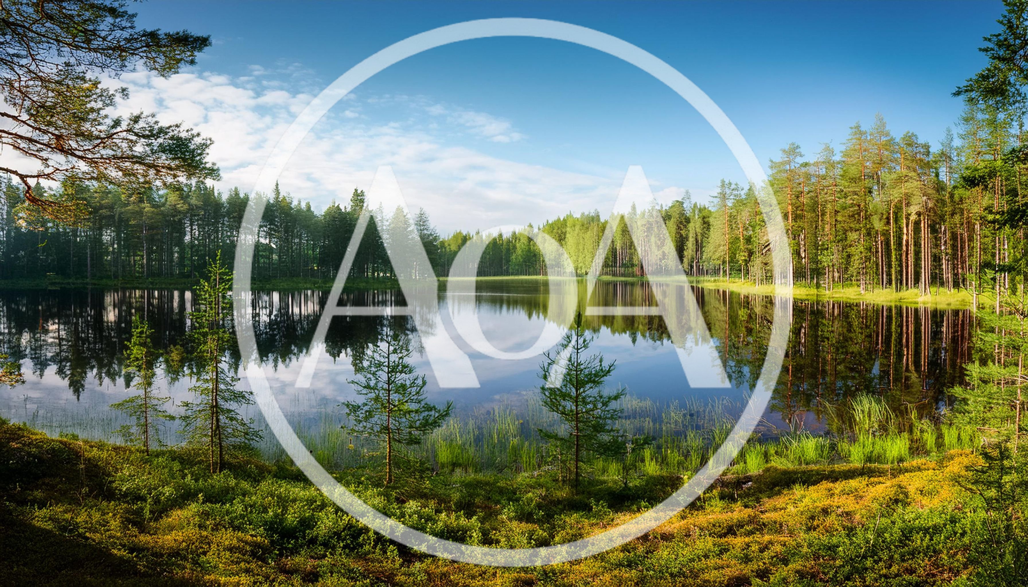 Serene Forest Lake Landscape In Finland