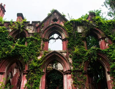Overgrown Gothic Ruins Of An Abandoned Stone Building