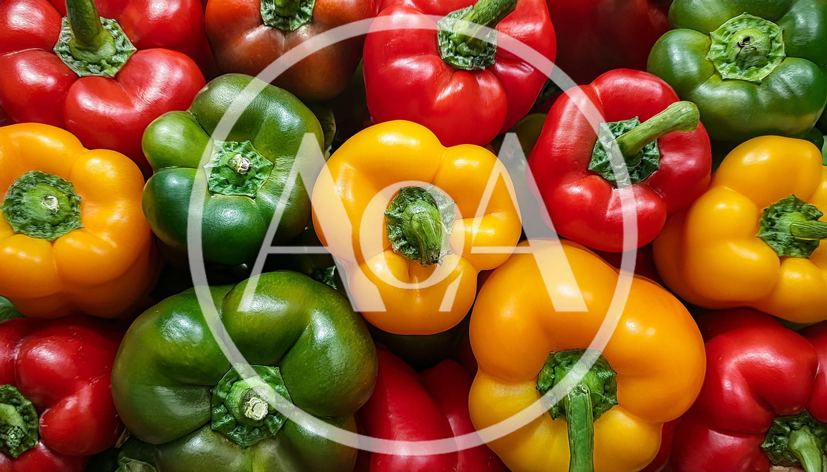 Fresh Colorful Bell Peppers Background