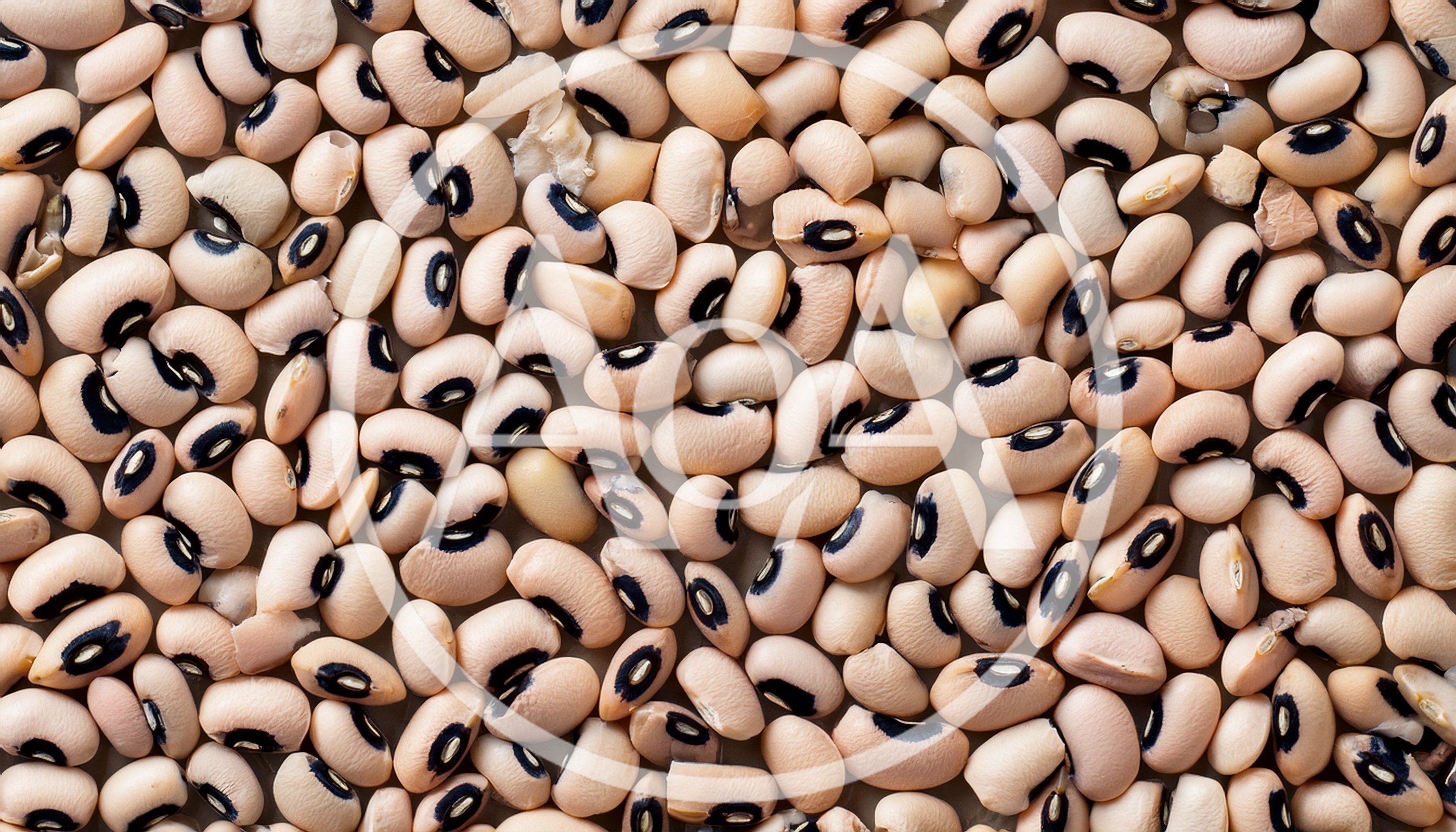 Top View Of Dried Black Eyed Peas
