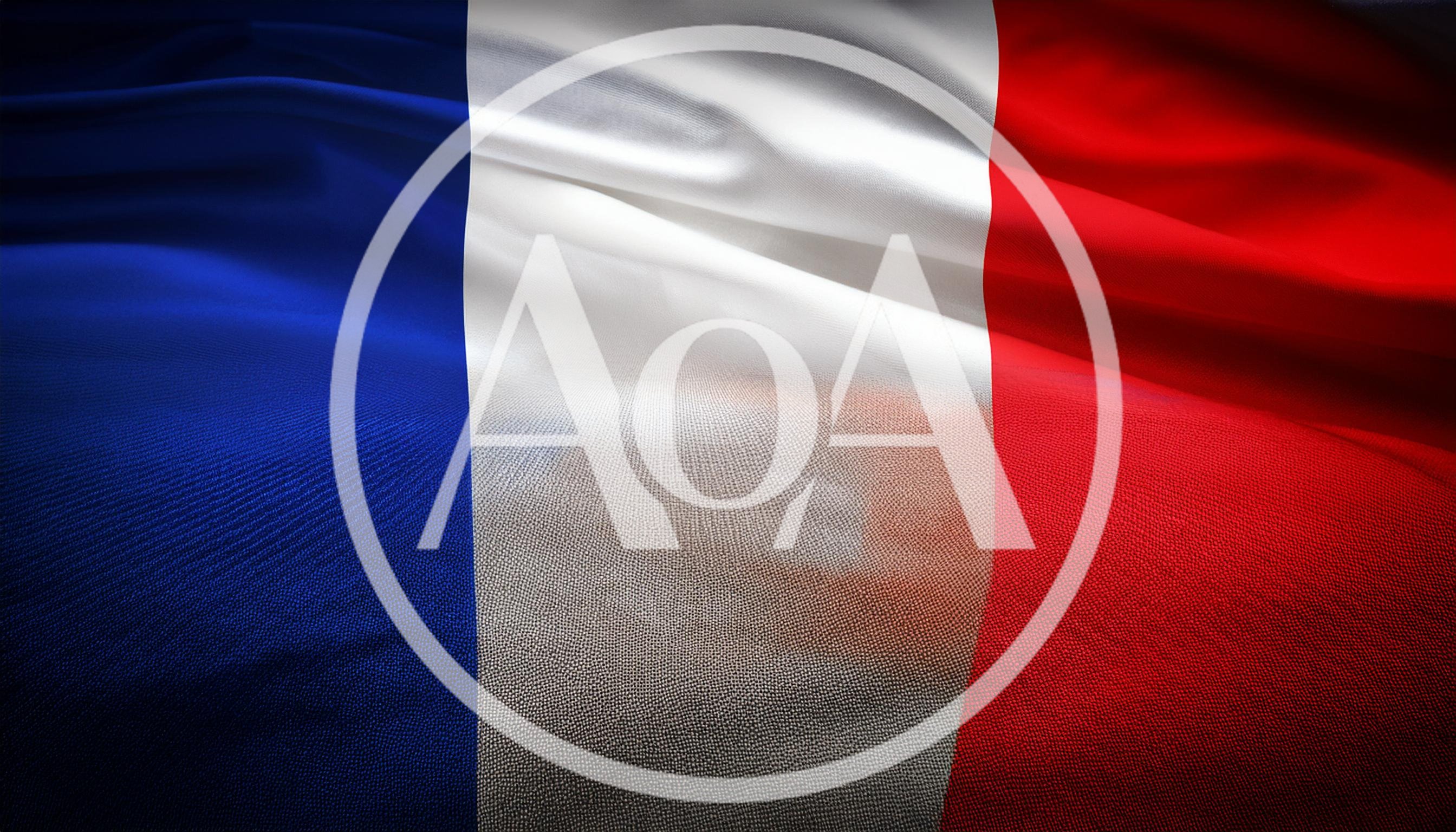 Waving Flag Of France With Fabric Texture