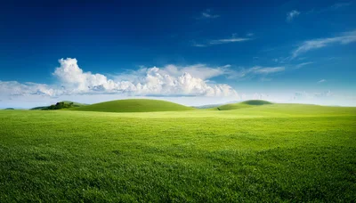 Rolling Green Hills Under A Bright Blue Sky