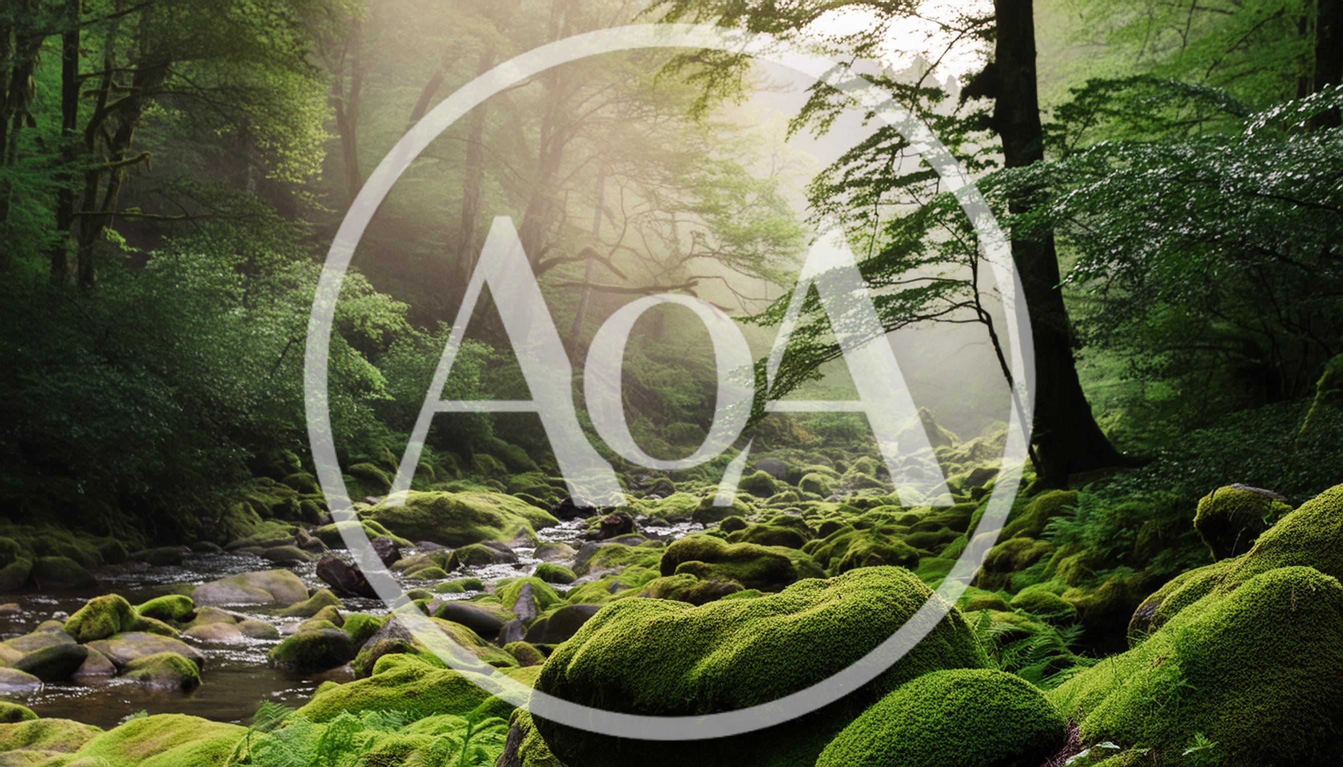 Mossy Rocks Along A Serene Forest Stream