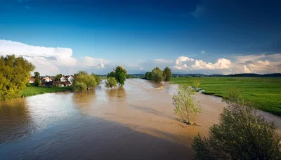 Flooded River Landscape With Submerged Trees And Houses