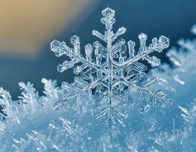 Macro Close Up Of A Single Intricate Snowflake