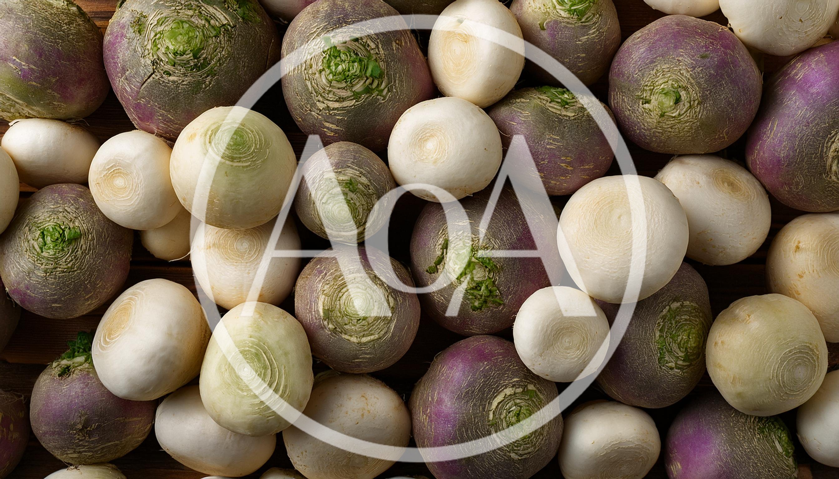 Fresh Raw Turnips Arranged On A Wooden Surface