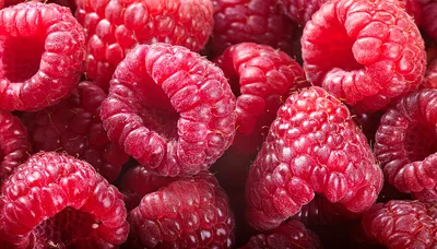 Fresh Ripe Raspberries Close Up Background