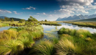 Scenic Marshland Landscape With Mountains And Reflective Water