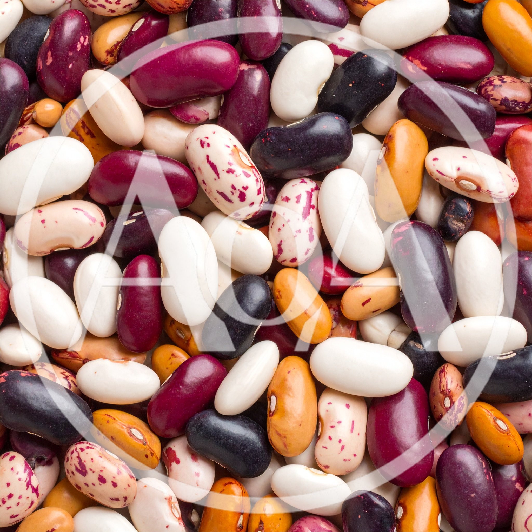 Assorted Dried Beans Mix Background
