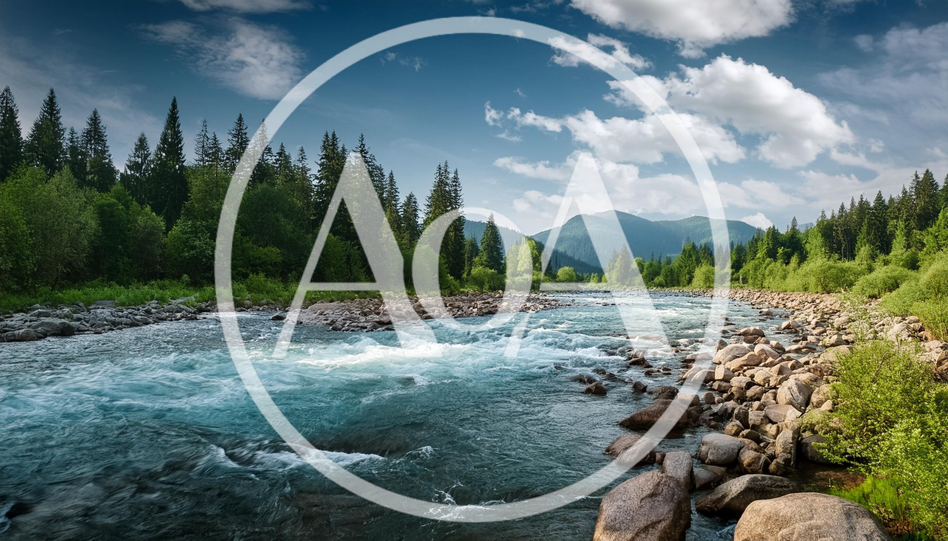 Fast Flowing Mountain River Through Coniferous Forest