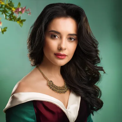 Portrait Of A Beautiful Woman In Elegant Evening Wear